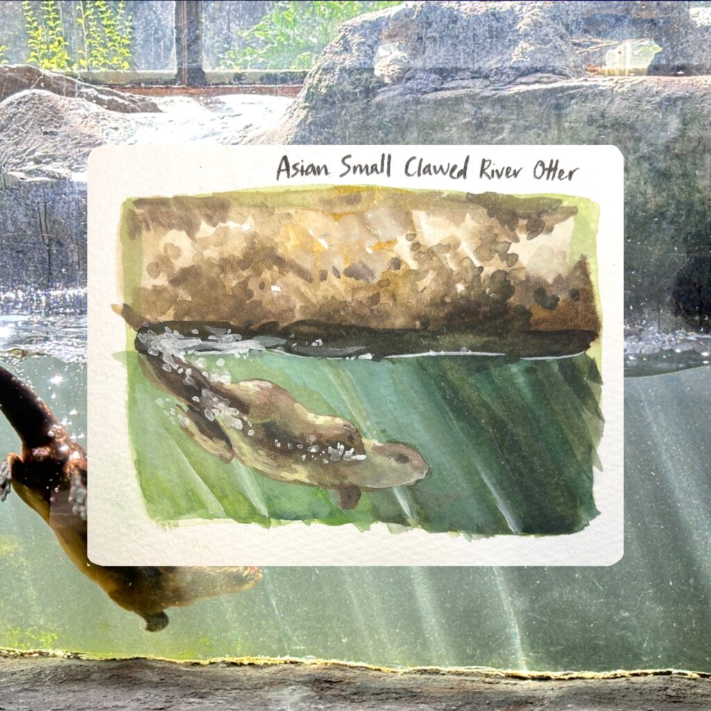 Underwater World Langkawi